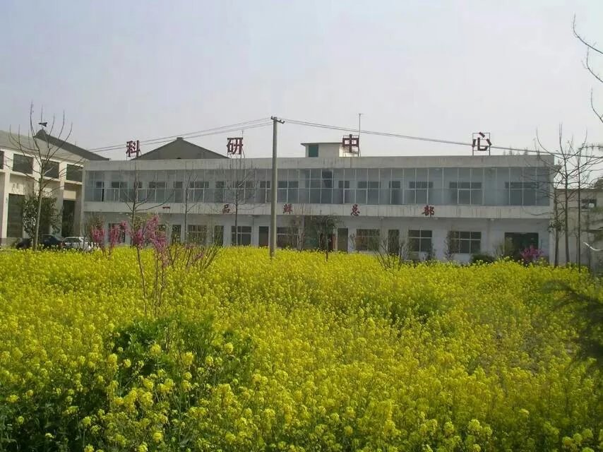 鄭州李先生面館開分店繼續(xù)購買一品鮮多功能拉面機